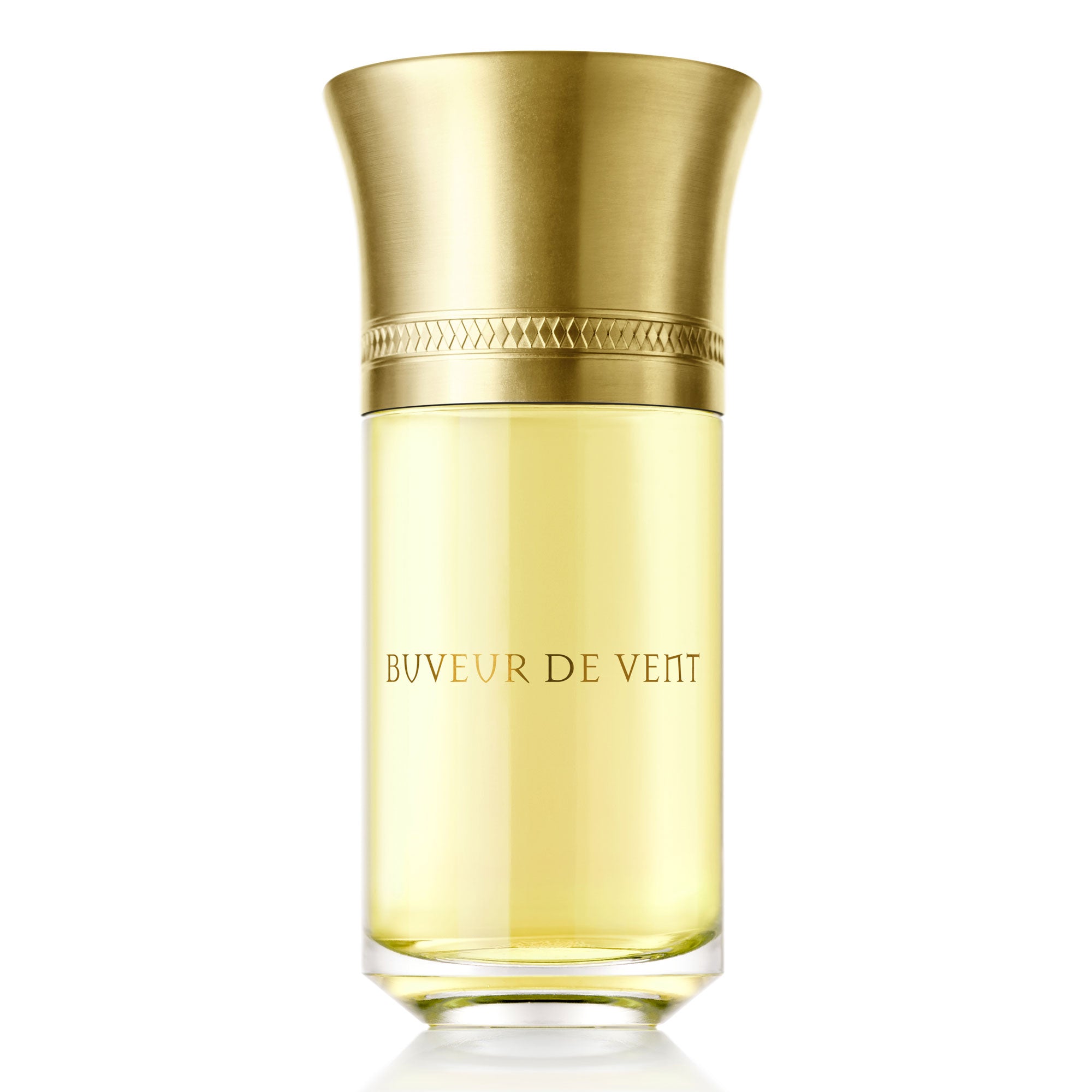 Liquides Imaginaires Buveur de Vent - 100ml - Gharyal by Collectibles 